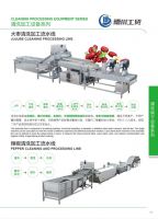 Vegetable and fruit cleaning and drying processing line