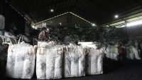 Industry Charcoal From Indonesia