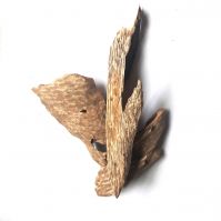 Agar Oudh wood chips from Vietnamese aquiiralia crasna