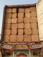 Wheat Straw (High grade from Pakistan)