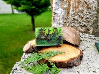 PINE SOAP