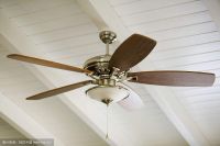 Ceiling fan From China