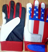 Batting Gloves