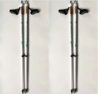 Nordic Walking Pole Customized Hiking pole Carbon fiber pole Walking Stick