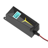 Y1 Automatic Car Battery Charger