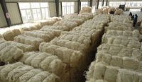 Sisal Fibre