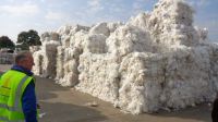 LDPE FILM