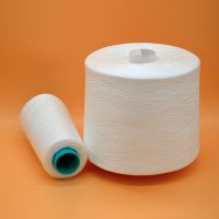 20/2/3 Hubei Yarn Raw white on paper cone TFO virgin bright 100% spun polyester yarn