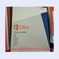 Office 2013 Pro Plus/office 2013