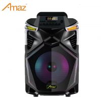 10inch Hot Sale Portable Karaoke Bluetooth Outdoor Trolley Speaker System