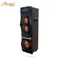 Private Model 8inch + Dual 6inch Woofers