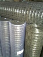 stainless steel welded wire mesh,square hole galvanized wire mesh 