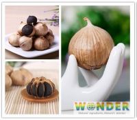 black garlic SAC