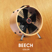 Wooden Fan