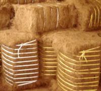 TOP QUALITY! COCONUT FIBER with COMPETITIVE PRICE From Thailand