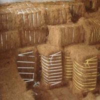 Coconut Fiber,coconut coir fiber,coconut husk fiber From Thailand