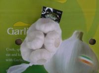Chinese Garlic