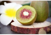 Fresh Kiwi Fruit