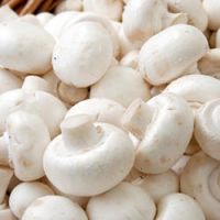 Button Mushrooms