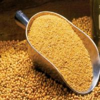 Soybean Meal For Animal Feed