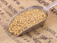 Pure Oat Grain Oats/Hulled Oats From South Africa