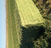 high quality alfalfa hay, alfalfa hay price, alfalfa hay bales From South Africa