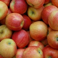 2019 new fresh fruits red Fuji apples