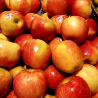 Royal Gala Apples Granny Smith Apples Red Delicious/Stark/Red Chief Apples Fuji apples