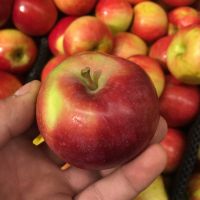 New crop Fuji Apple in carton