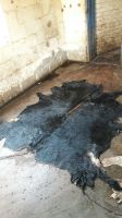 WET SALTED HAND FLAYED CATTLE HIDES