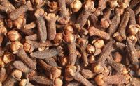 high level quality whole madagascar cloves