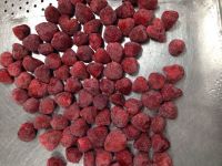 Frozen Strawberry Whole