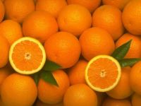Mandarin  Lemon, Greyfurt,orange, Dried Onion,potato