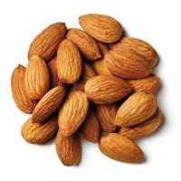 Wholesale Grade A Almond Nuts / Almond Kernel / Raw Bitter and Sweet Kernels