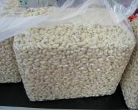 Wholesale Grade A Cashew Nuts/ Cashew Kernels For Export