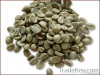 green coffee beans