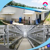 animal husbandry equipment Chicken Cage Feeding Equipment Poultry Chicken House