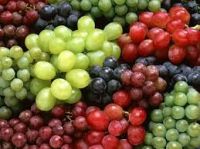 Fresh Class 1 Grapes, Fresh Seedless Grapes from South Africa