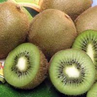 Fresh Class 1 Kiwi fruits, Fresh Kiwi Fruits from South Africa