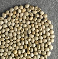 Dried Pigeon Peas From South Africa