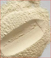 Dehydrated Garlic Powder From South Africa