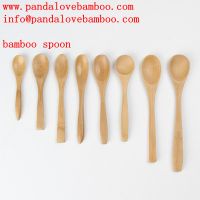 Disposable Spoon From China