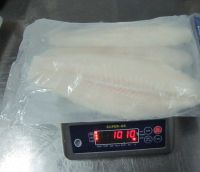 PANGASIUS 