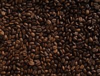 Arabica and Robusta Coffee Beans 