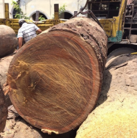 African Hardwood Sawn Timber and Wood Logs for Sale