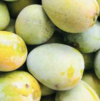 Vegetables and Fruits From Bangladesh