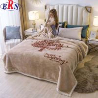 Double Layers Winter Thickened Raschel Blanket Fluffy Heavy Warm Mink Blankets From China