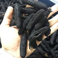 Turkish Sea Cucumber Dried Holothuria Mamata