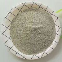 Natural Clinoptilolite Zeolite Mineral for Feed Additives