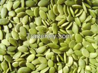 Pumpkin Pepitas Grand "AA" From UK